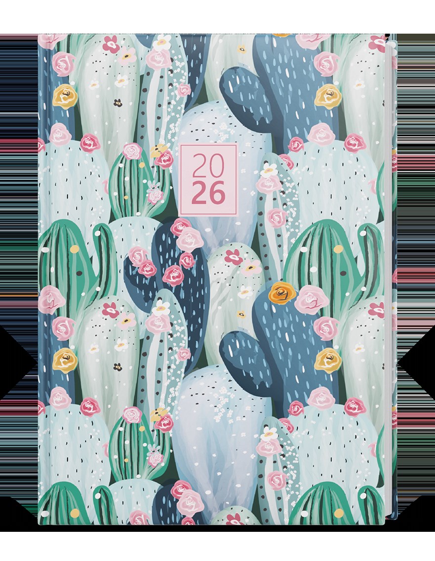 *B26  BDA9-4-26  Denní diář - Adam - Lamino - B6 - Kaktus , parciální lak