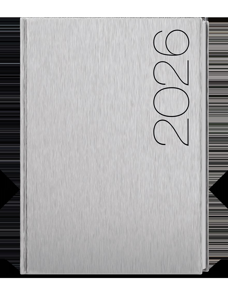 *B26  BDD30-9-26  Denní diář - David - ForMen - A5 - Silver