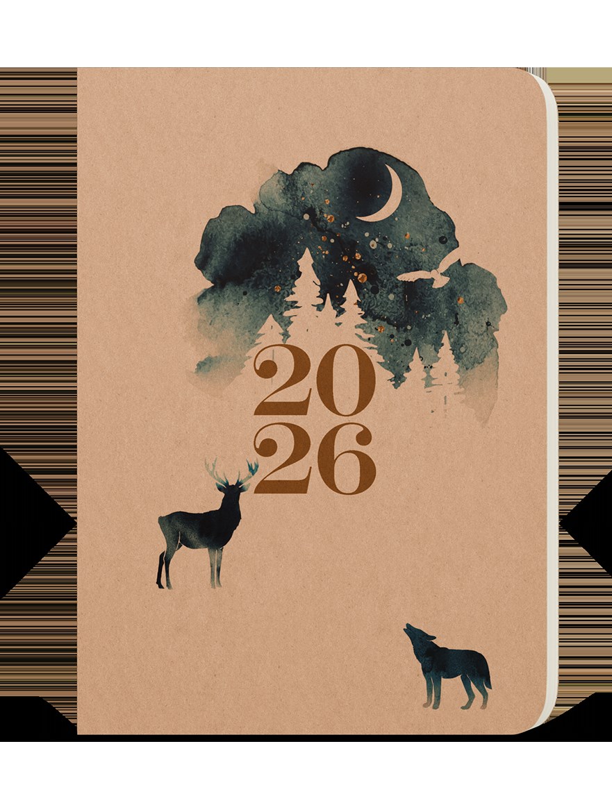 *B26  BDD4-2-26  Denní diář - David - Kraft - A5 - Čarovný , kraftový papír