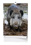 Myslivecký kalendář - A3