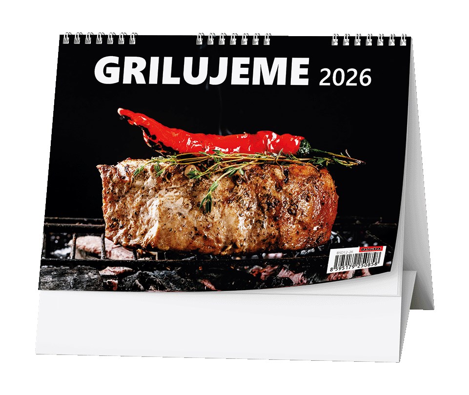 *B26  BSD12-26  Grilujeme