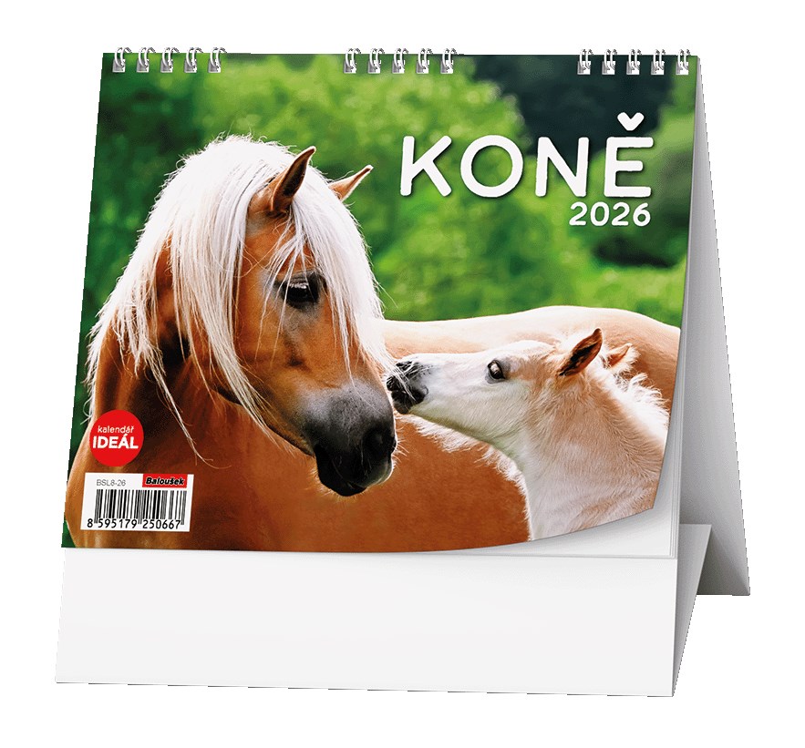 *B26  BSL8-26  IDEÁL - Koně
