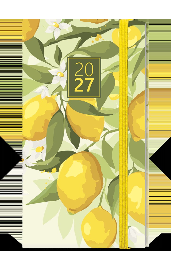 *B27  BTJ9-5-27  Týdenní diář - Jakub - Lamino - kapesní - Citron