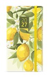*B27  BTJ9-5-27  Týdenní diář - Jakub - Lamino - kapesní - Citron