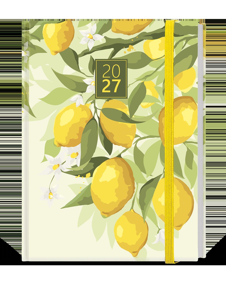 *B27  BTP9-5-27  Týdenní diář - Prokop - Lamino - B6 - Citron