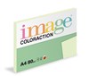 Coloraction A4  80g 27 Jungle - sv.zelená/100 393487