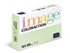 Coloraction A4 80g Jungle/500 l 382025
