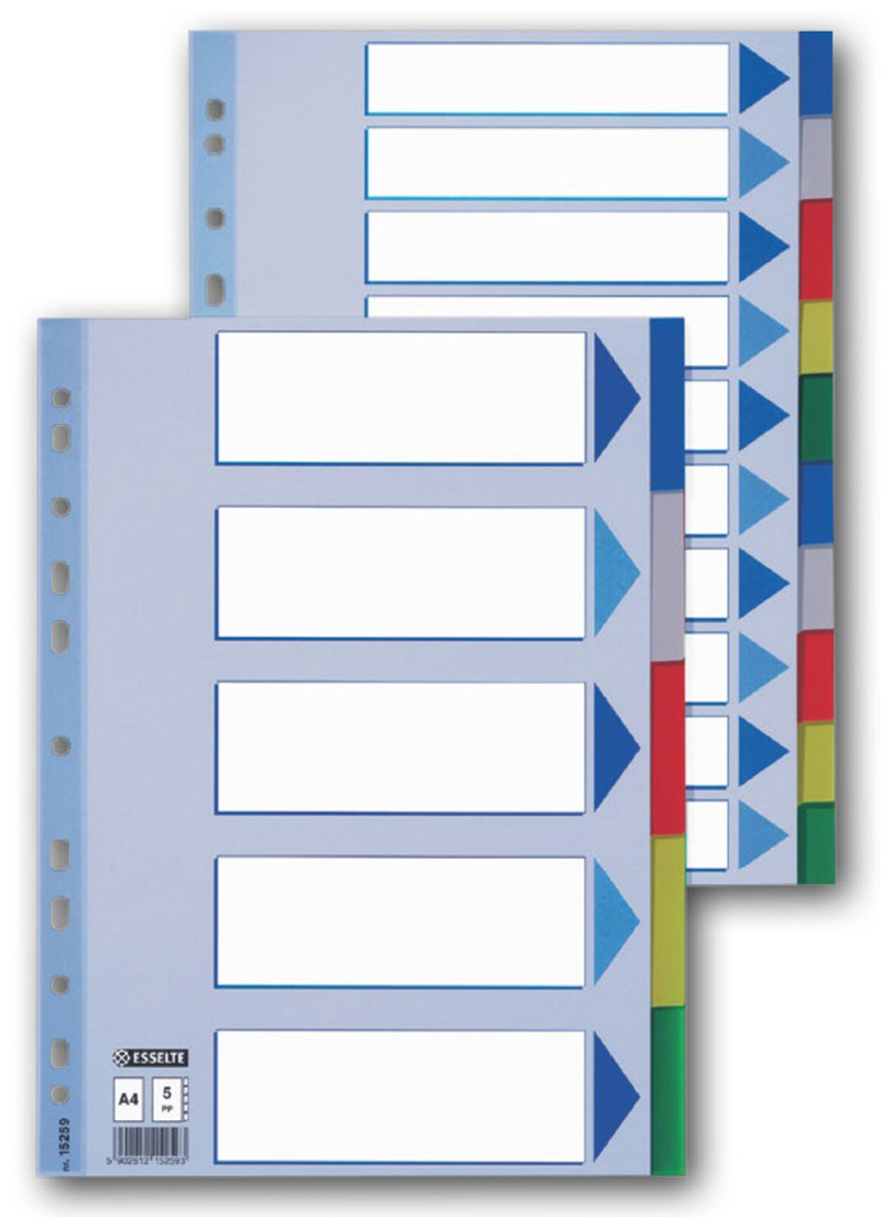 ESSELTE  15259 plast.rozlišovač A4  5 listů