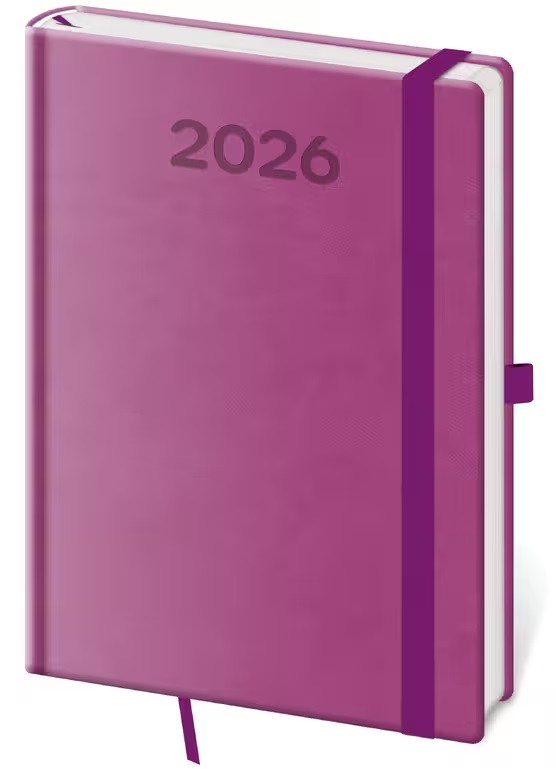 *H26  DPP422-12-26   Diář denní A5 Print Pop - fialová , 145x205