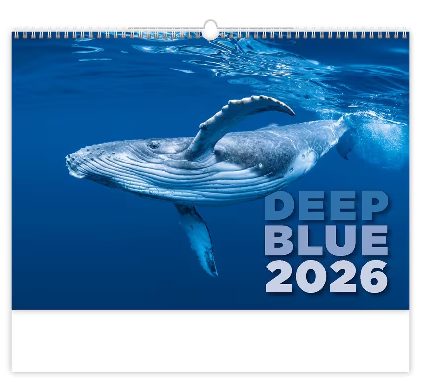 *H26  N136-26  nástěnný kalendář  Deep Blue   NEW , 450x315(70)