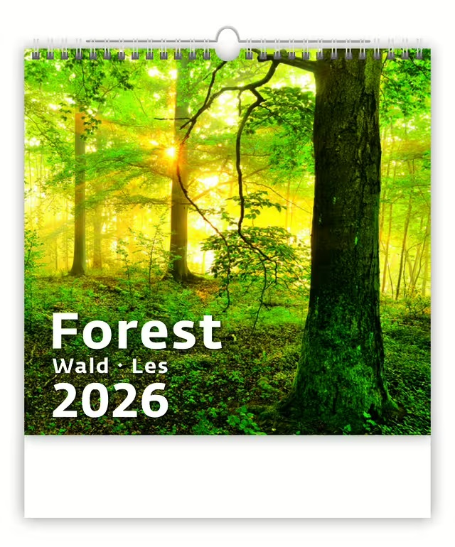 *H26  N171-26  nástěnný kalendář  Forest/Wald/Les , 300x300(70)