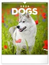 *P26  PGN-35226-L  NOTIQUE Nástěnný kalendář Psi 2026, 30 x 34 cm