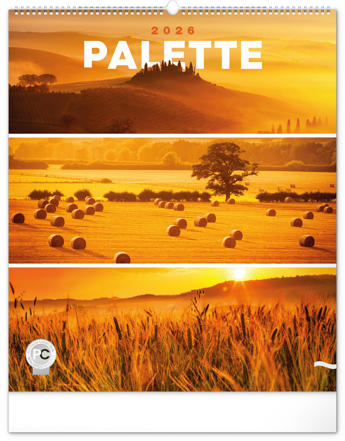 *P26  PGN-35519-L  NOTIQUE Nástěnný kalendář Paleta 2026, 48 x 56 cm