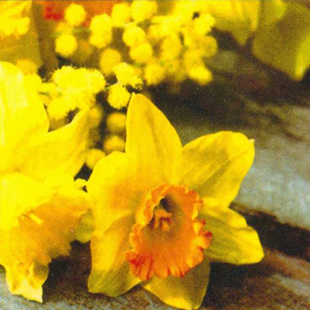 Velikonoční ubrousky 33x33 614