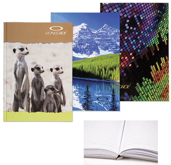 kniha A6 čtvereček 56105 100 listů